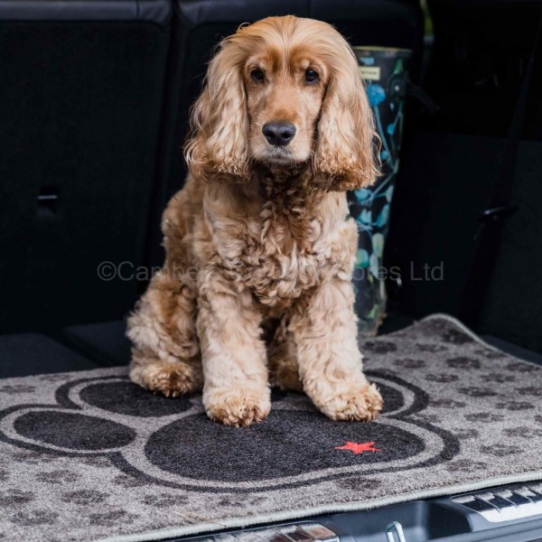 Pet Rebellion Boot Mate Little Paws 67cm x 100cm Cambers Country Store